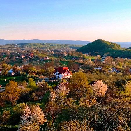 Surdesti  Casa Comilor B&B 외부 사진