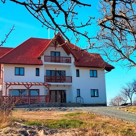 Surdesti  Casa Comilor B&B 외부 사진