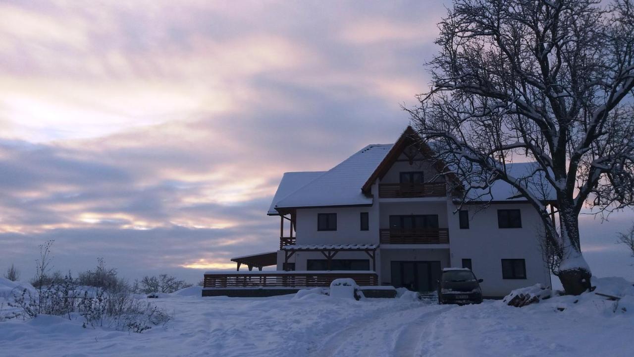 Surdesti  Casa Comilor B&B 외부 사진