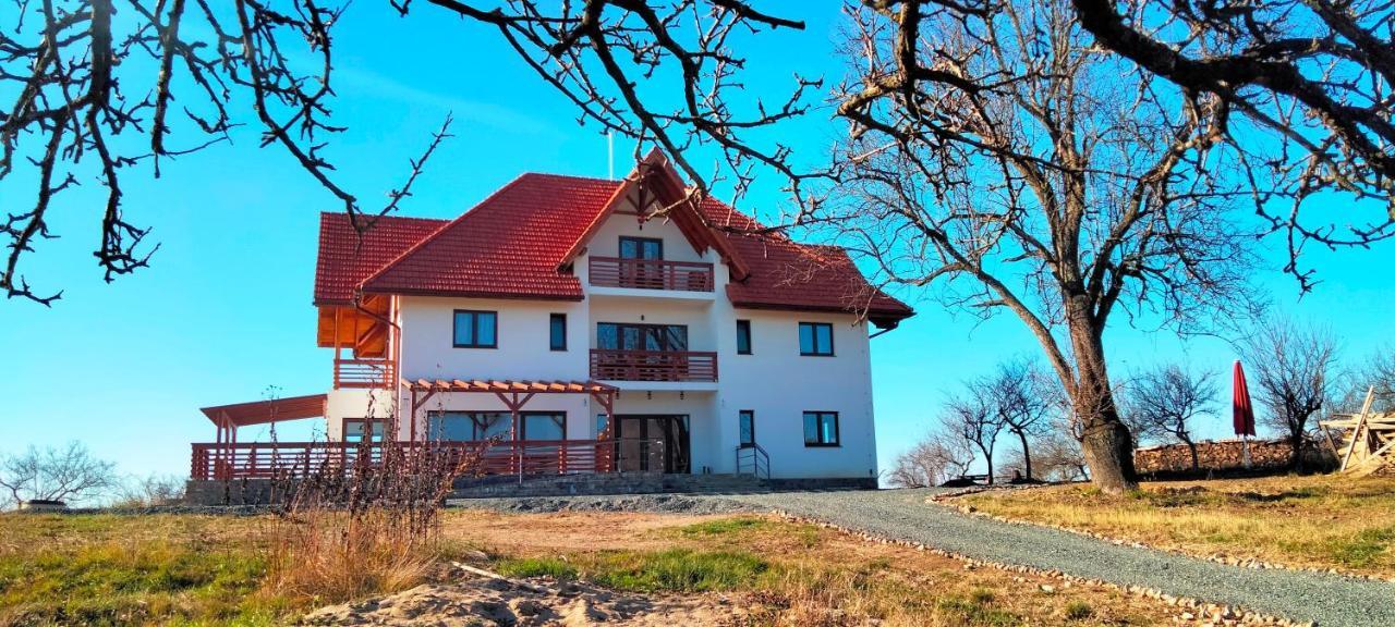Surdesti  Casa Comilor B&B 외부 사진