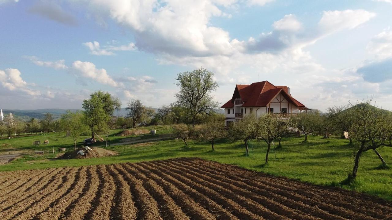 Surdesti  Casa Comilor B&B 외부 사진